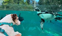 IMG_1462