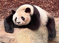 IMG_1460