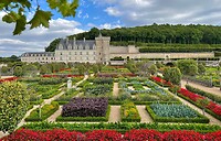IMG_1470