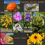 IMG_1473