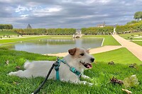 IMG_1475