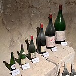 IMG_1486