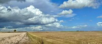 IMG_1490
