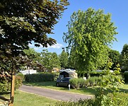 IMG_2582