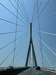 IMG_2554