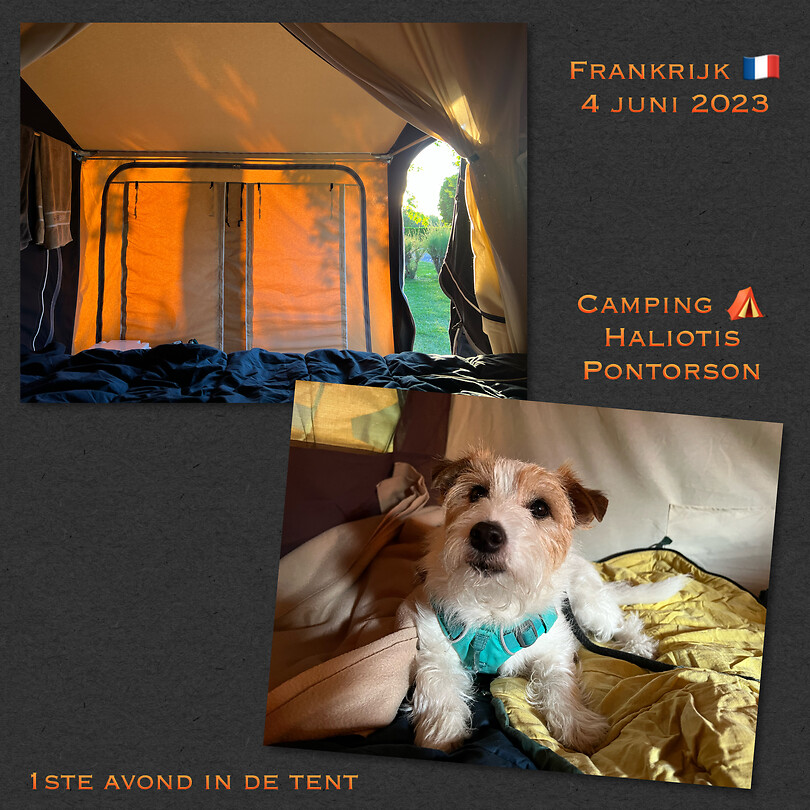 Jop in de tent ⛺️