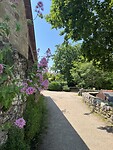 IMG_2728