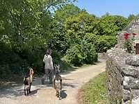 IMG_2729