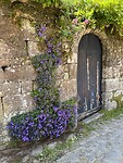 IMG_2759
