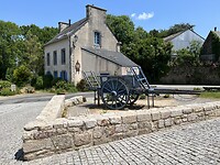 IMG_2770