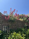 IMG_2712