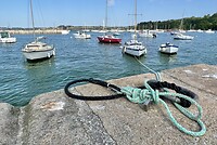 IMG_2786