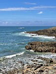 IMG_3008