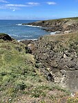 IMG_3015