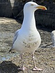IMG_3060