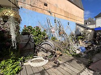 IMG_3077