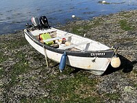 IMG_3088