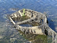 IMG_3089