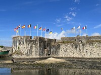 IMG_3101
