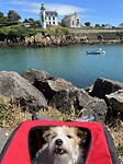IMG_0400