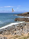 IMG_0359