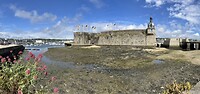 IMG_3113