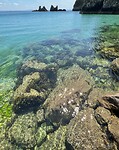 IMG_3172