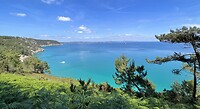 IMG_3217