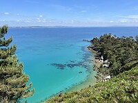 IMG_3186