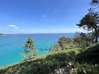 IMG_3184