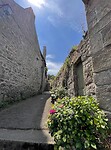 IMG_3283