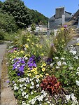 IMG_3359