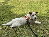 IMG_3617