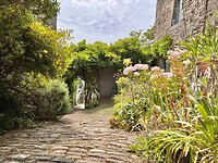 IMG_3693