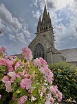 IMG_3740