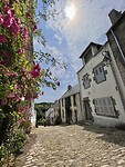 IMG_3745