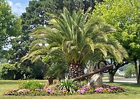 IMG_3669