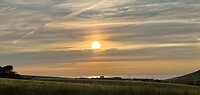 IMG_4020
