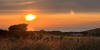 IMG_4028