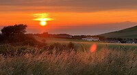 IMG_4040