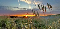 IMG_4041