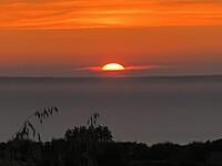 IMG_4045