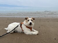 IMG_4072