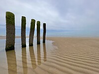 IMG_4087