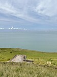 IMG_4100