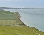 IMG_4101