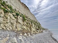 IMG_4126
