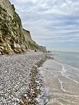 IMG_4130