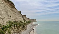 IMG_4140