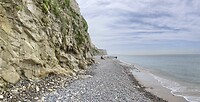 IMG_4148